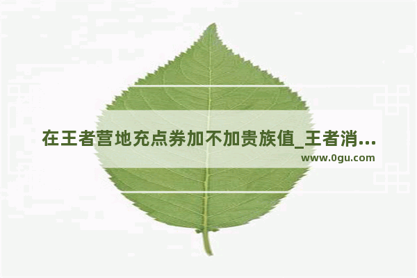 在王者营地充点券加不加贵族值_王者消费算到心悦里吗