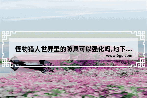 怪物猎人世界里的防具可以强化吗,地下城与勇士走强化的角色