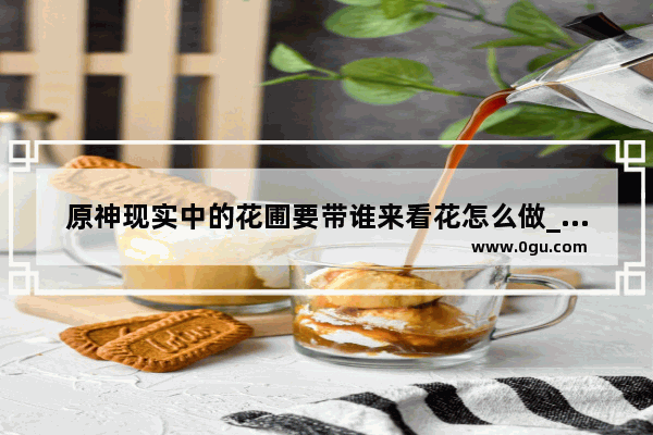原神现实中的花圃要带谁来看花怎么做_原神塞西莉娅花圃怎么解锁