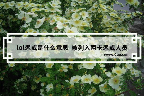 lol惩戒是什么意思_被列入两卡惩戒人员怎么申诉解除