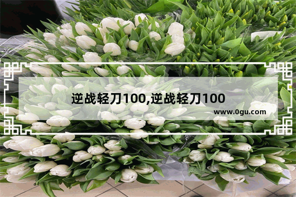 逆战轻刀100,逆战轻刀100