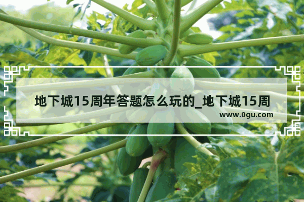 地下城15周年答题怎么玩的_地下城15周年庆奖励怎么领取
