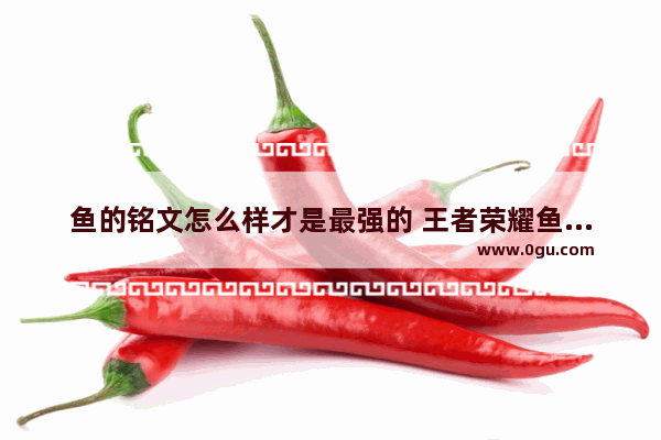 鱼的铭文怎么样才是最强的 王者荣耀鱼铭文