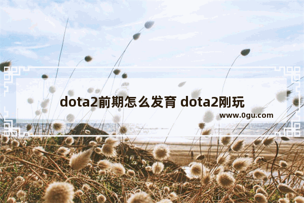 dota2前期怎么发育 dota2刚玩