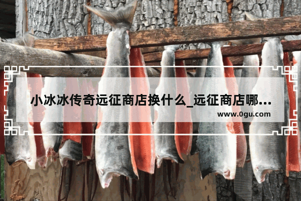 小冰冰传奇远征商店换什么_远征商店哪个值得兑换