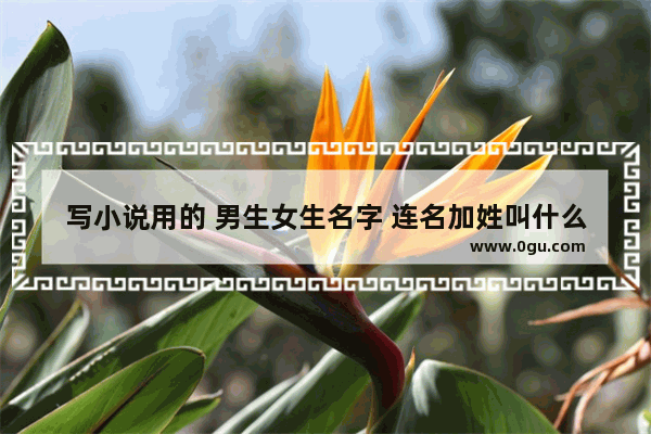 写小说用的 男生女生名字 连名加姓叫什么好_穿越火线男生游戏名字大全
