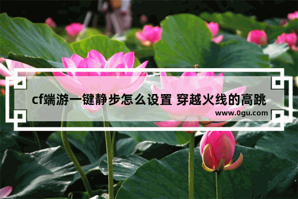 cf端游一键静步怎么设置 穿越火线的高跳设置