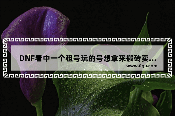 DNF看中一个租号玩的号想拿来搬砖卖金仓库上锁了但是可以解安全模式可以把搬砖的金转给自己号卖掉吗 穿越火线卖号怎么安全