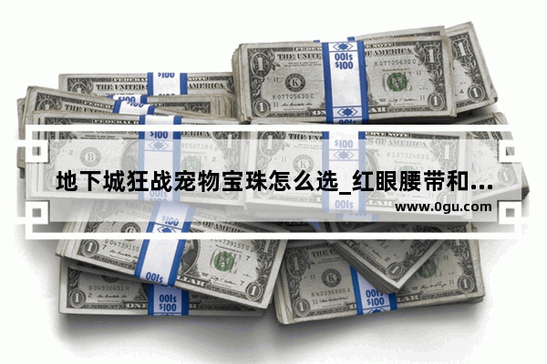 地下城狂战宠物宝珠怎么选_红眼腰带和鞋国庆附魔什么