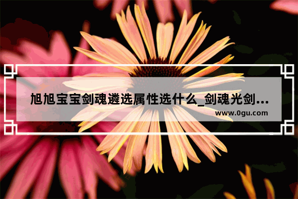 旭旭宝宝剑魂遴选属性选什么_剑魂光剑武器遴选如何选择