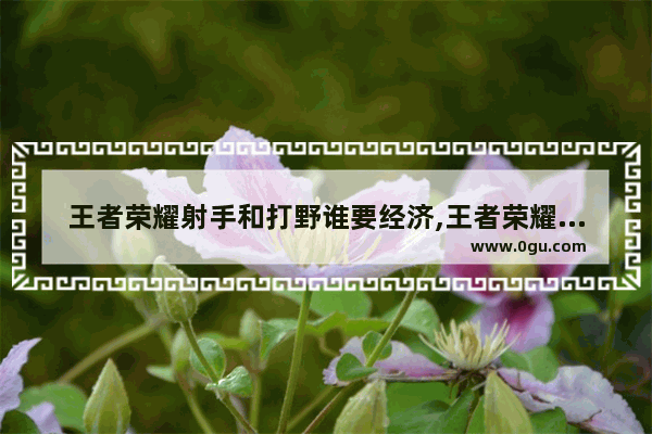 王者荣耀射手和打野谁要经济,王者荣耀打野经济