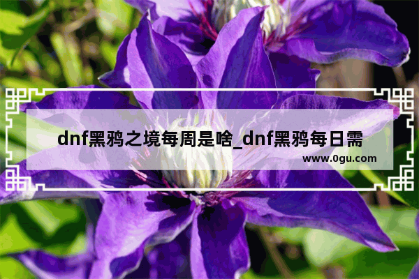 dnf黑鸦之境每周是啥_dnf黑鸦每日需要多少名望秒过