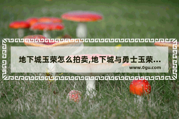 地下城玉荣怎么拍卖,地下城与勇士玉荣怎么选择