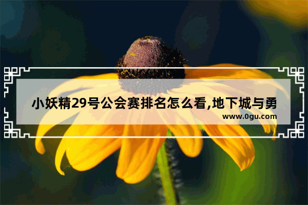 小妖精29号公会赛排名怎么看,地下城与勇士公会赛怎么排