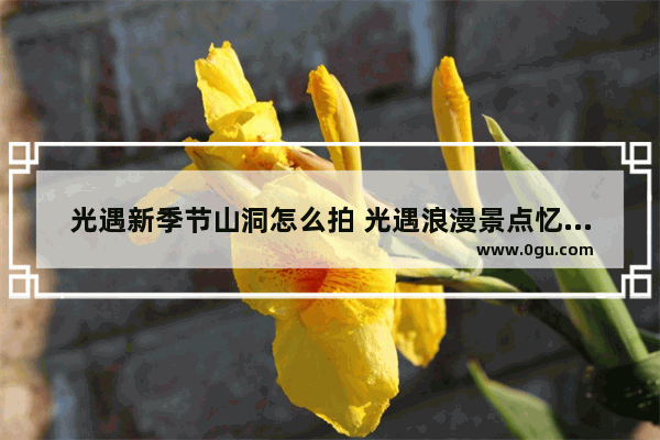 光遇新季节山洞怎么拍 光遇浪漫景点忆光洞