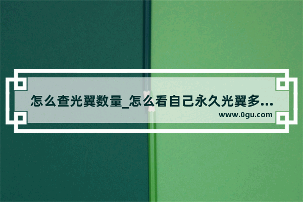 怎么查光翼数量_怎么看自己永久光翼多少个