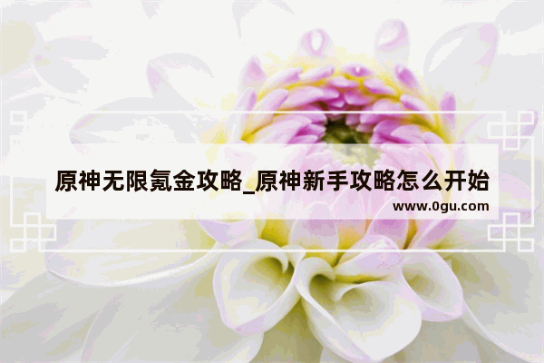 原神无限氪金攻略_原神新手攻略怎么开始