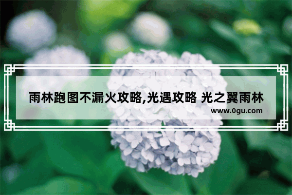雨林跑图不漏火攻略,光遇攻略 光之翼雨林