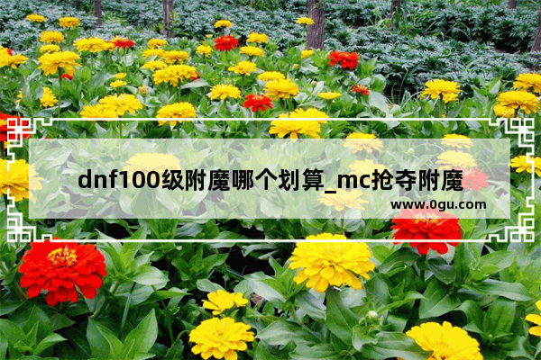 dnf100级附魔哪个划算_mc抢夺附魔怎么附100级