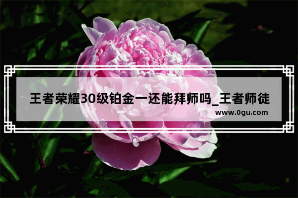 王者荣耀30级铂金一还能拜师吗_王者师徒多少级出师