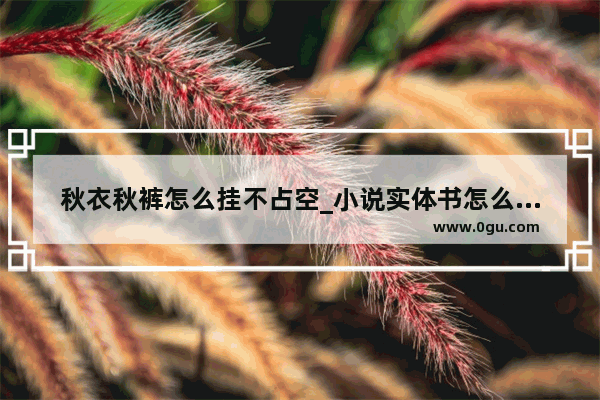 秋衣秋裤怎么挂不占空_小说实体书怎么收纳