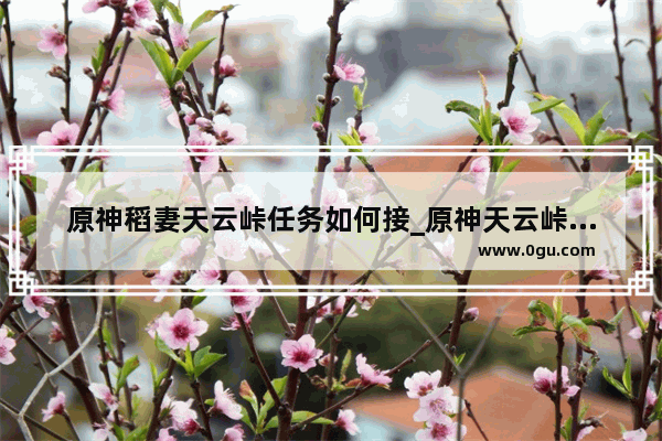 原神稻妻天云峠任务如何接_原神天云峠怎么去