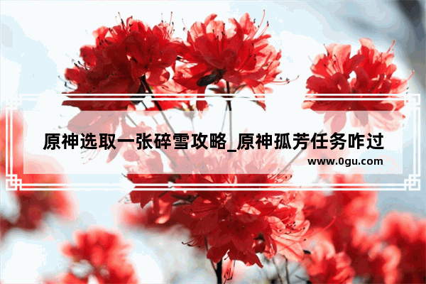 原神选取一张碎雪攻略_原神孤芳任务咋过