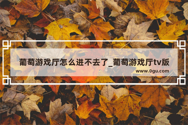 葡萄游戏厅怎么进不去了_葡萄游戏厅tv版网络连接失败