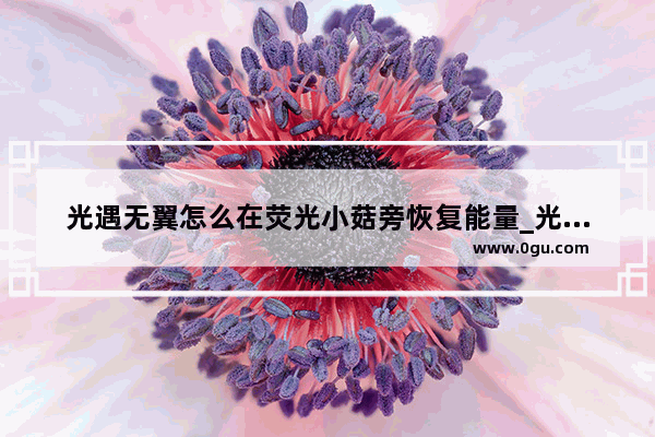 光遇无翼怎么在荧光小菇旁恢复能量_光遇云野蘑菇灯任务