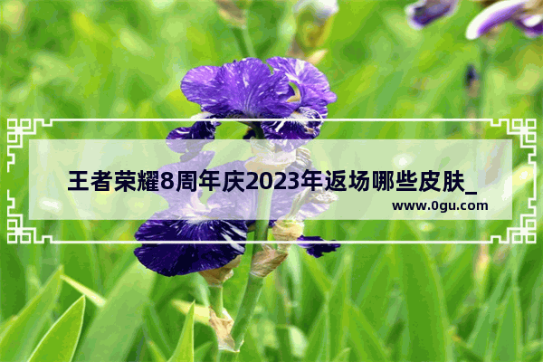 王者荣耀8周年庆2023年返场哪些皮肤_2024橘右京英雄还会返场吗