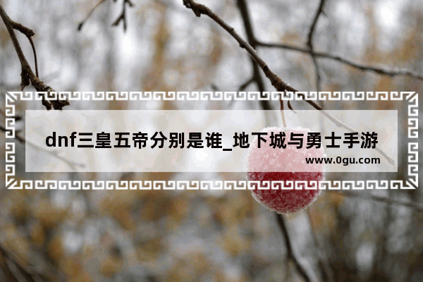 dnf三皇五帝分别是谁_地下城与勇士手游女武神觉醒怎么放