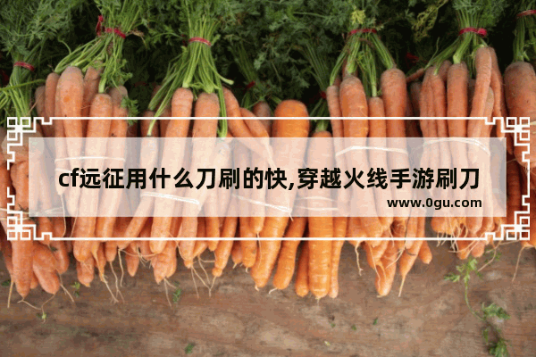 cf远征用什么刀刷的快,穿越火线手游刷刀