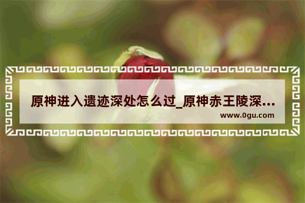 原神进入遗迹深处怎么过_原神赤王陵深处怎么接