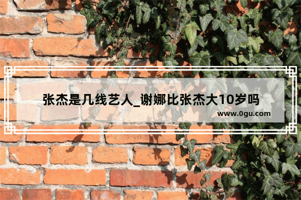 张杰是几线艺人_谢娜比张杰大10岁吗