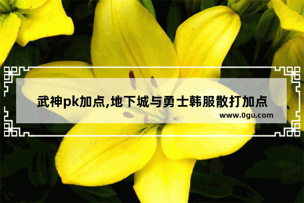 武神pk加点,地下城与勇士韩服散打加点