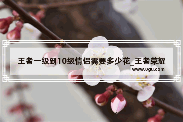 王者一级到10级情侣需要多少花_王者荣耀情侣标10级是什么样的
