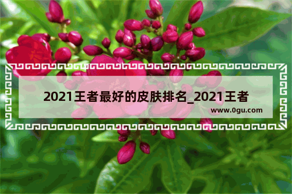 2021王者最好的皮肤排名_2021王者荣耀热度前五名的英雄