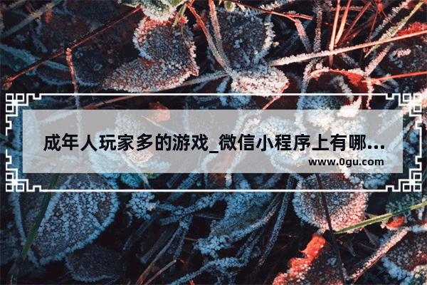 成年人玩家多的游戏_微信小程序上有哪些好玩的小游戏