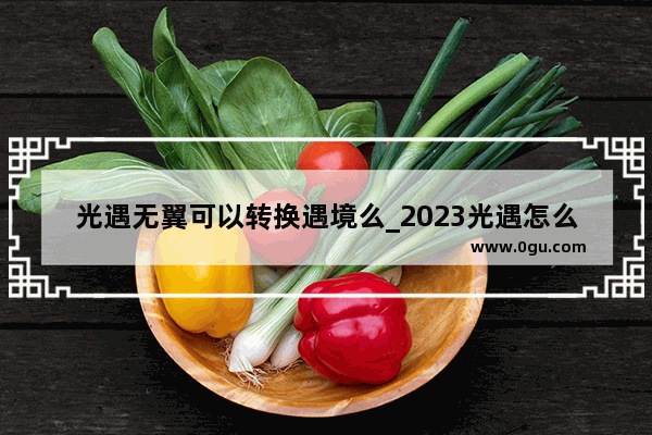 光遇无翼可以转换遇境么_2023光遇怎么卡单人永久无翼