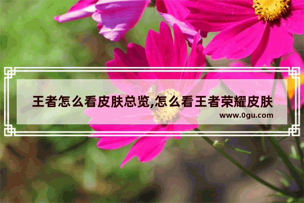 王者怎么看皮肤总览,怎么看王者荣耀皮肤