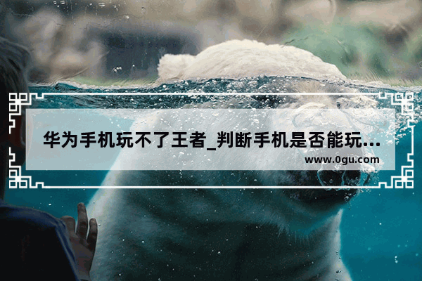 华为手机玩不了王者_判断手机是否能玩王者荣耀