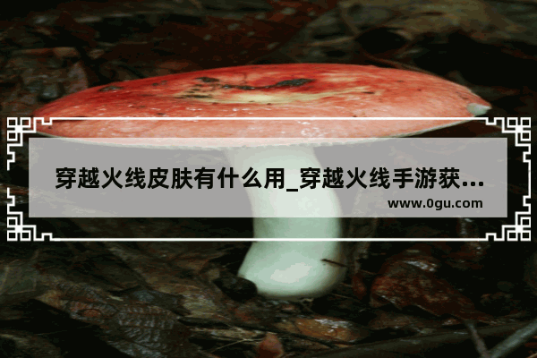 穿越火线皮肤有什么用_穿越火线手游获得皮肤会有武器吗