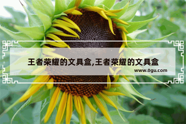 王者荣耀的文具盒,王者荣耀的文具盒