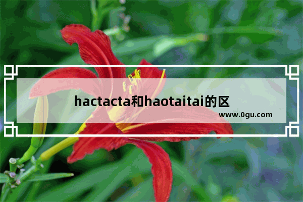 hactacta和haotaitai的区别,dota2 hao老婆