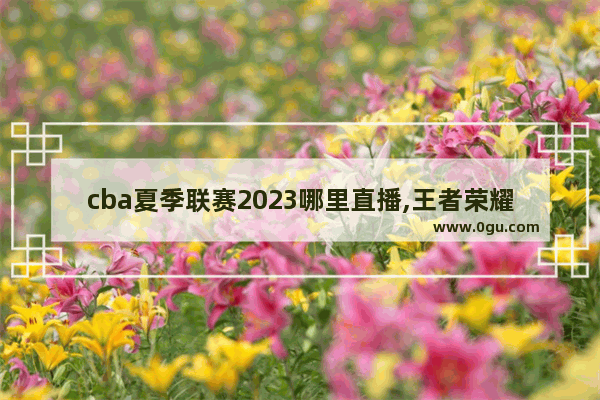 cba夏季联赛2023哪里直播,王者荣耀三分奇兵版本