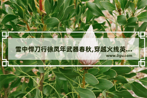 雪中悍刀行徐凤年武器春秋,穿越火线英雄武器借号
