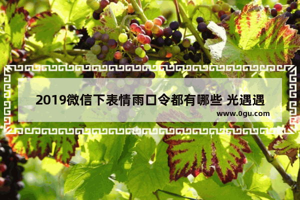 2019微信下表情雨口令都有哪些 光遇遇鲤红包口令是啥