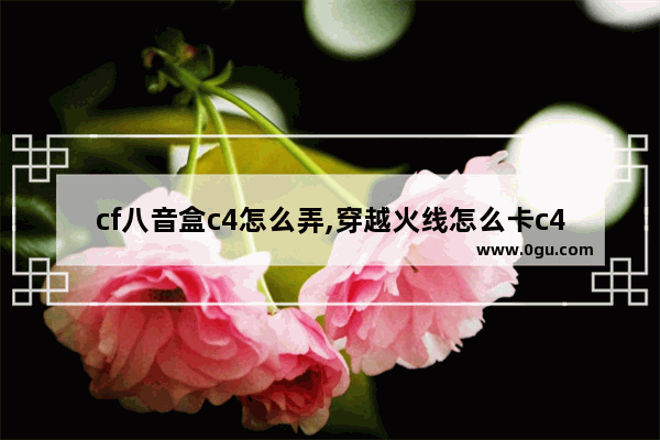 cf八音盒c4怎么弄,穿越火线怎么卡c4