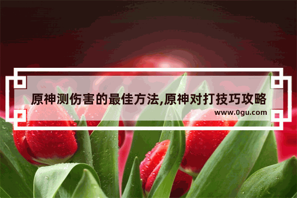 原神测伤害的最佳方法,原神对打技巧攻略