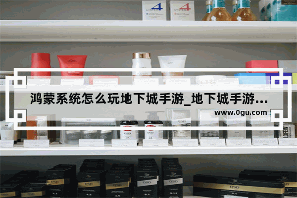 鸿蒙系统怎么玩地下城手游_地下城手游三界任务怎么做